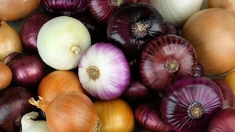 Onions! #seasonforfreedom