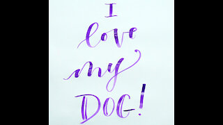 I Love My Dog [GMG Originals]