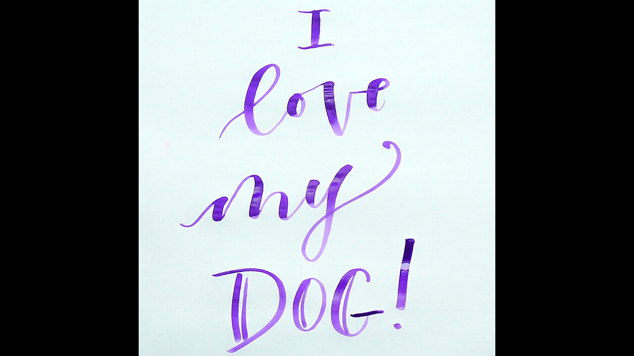 I Love My Dog [GMG Originals]