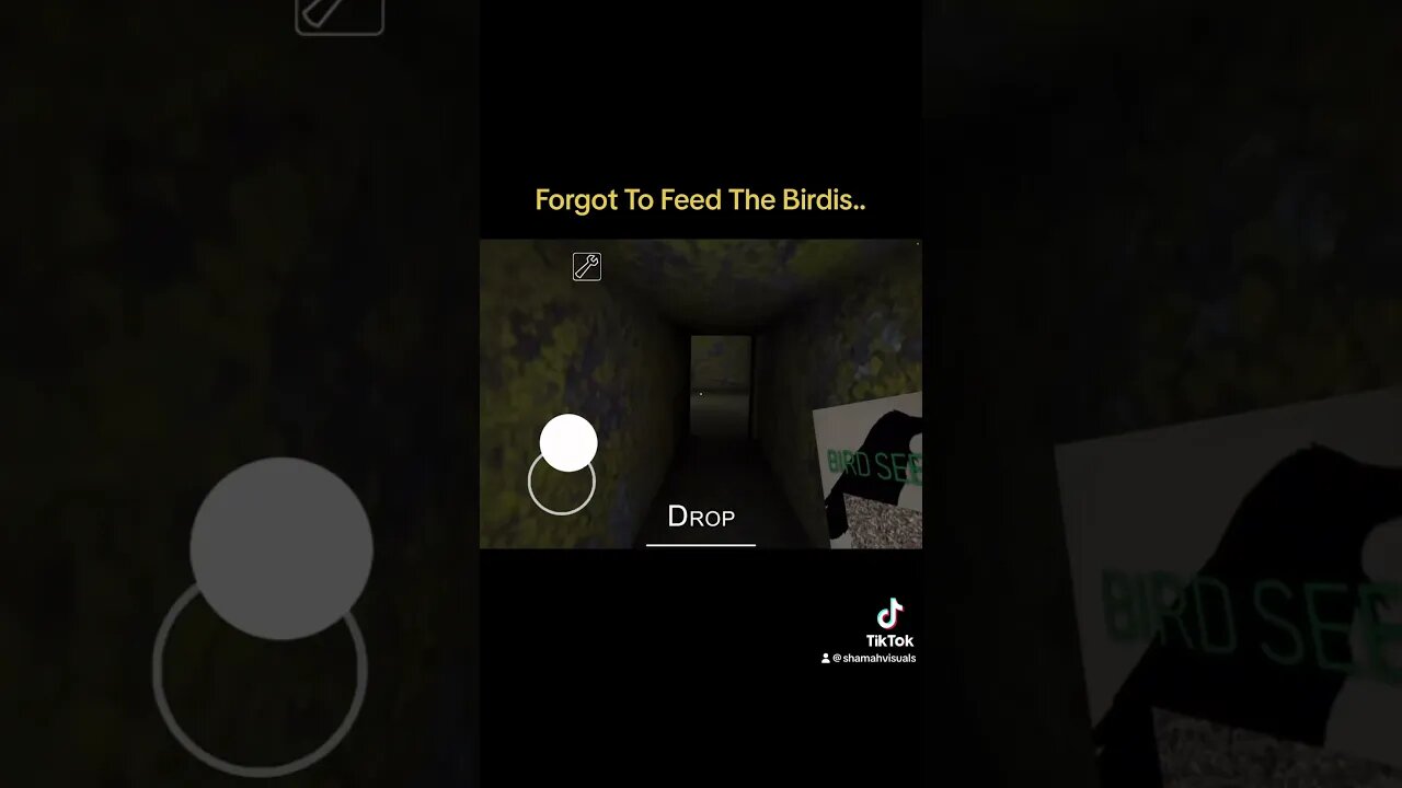 Forgot To Feed The Bird - Granny Horror Game