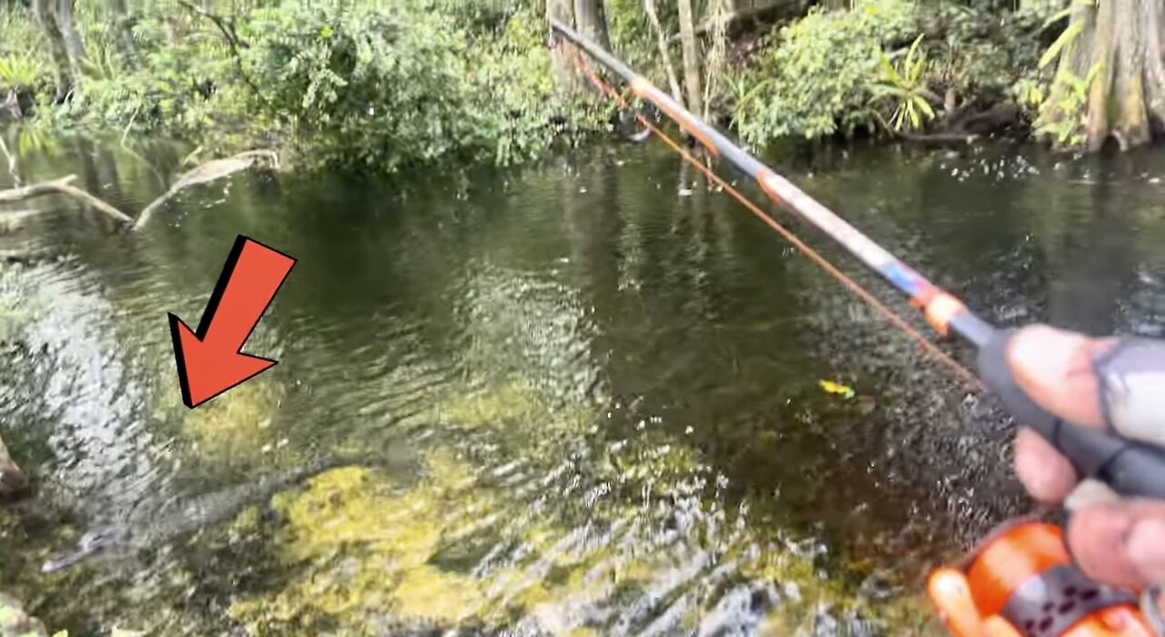 Return to Loop Rd, "Unseen Everglades: A Fish's-Eye View in Alligator Waters!"