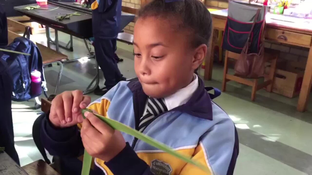 SOUTH AFRICA - Cape Town -S Grade 4 students making palm crosses (Video) (CD7)