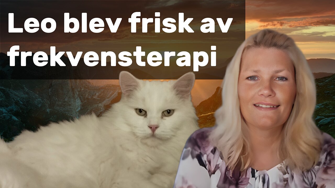 Katt blev frisk & Välfärdssjukdomar vi ger husdjuren