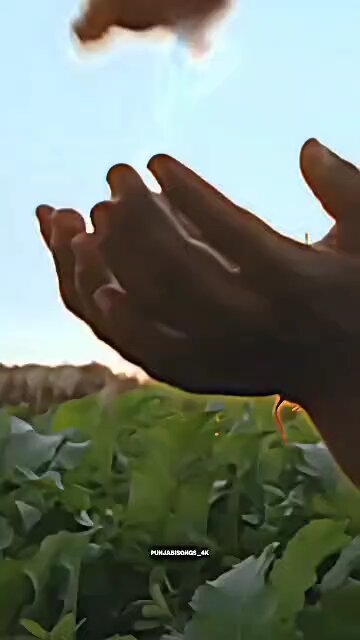 waheguru Ji Da Khalsa WaheGuru Ji ki Fateh Jo bole so Nihal sat Shri aka