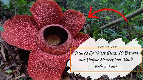 Nature's Quirkiest Gems: 10 Bizarre and Unique Flowers You Won't Believe Exist