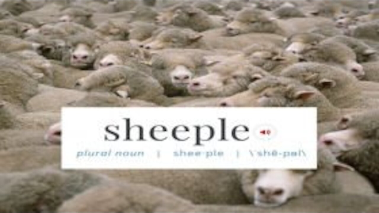 TFH #468: How To Talk To Sheeple 101 With Benny Wills