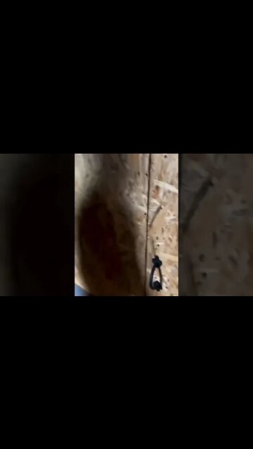 Ukrainian soldiers have added some comfort to the trenches #shorts