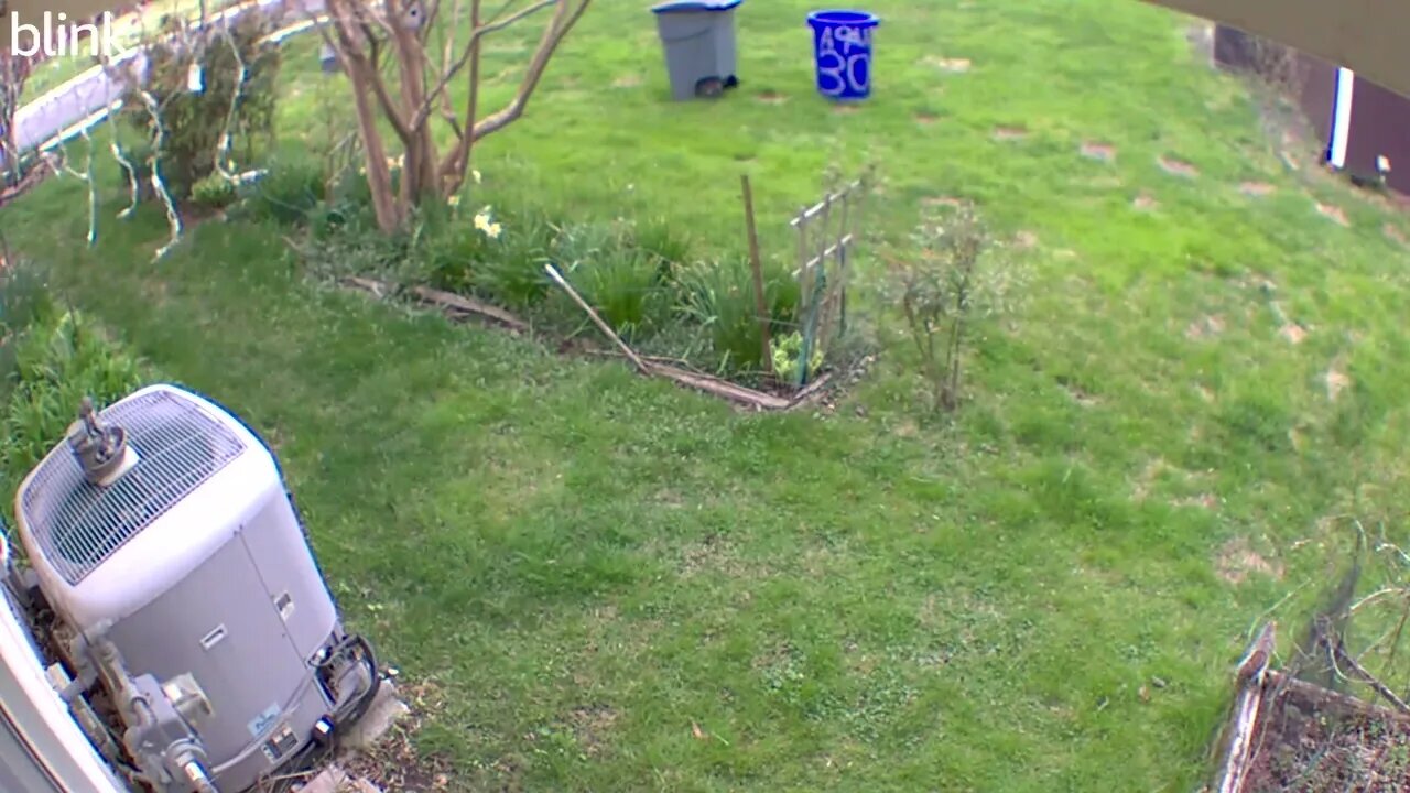 1_EAST_FLOODLIGHT_VIDEO_CAM_2023-04-07T17_18_07-0400.mp4
