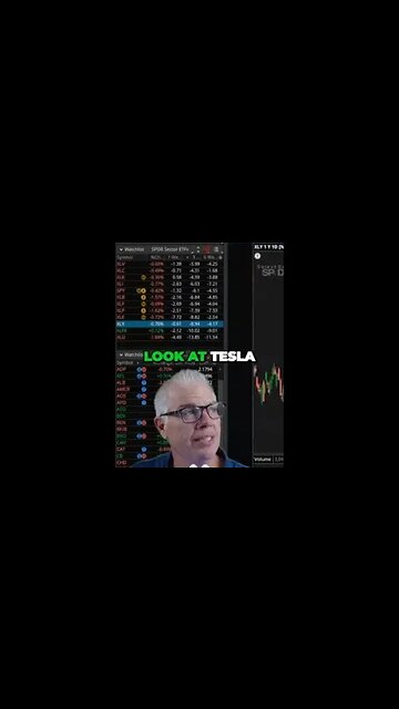 Tesla's Rollercoaster Ride Decoding the Market Moves