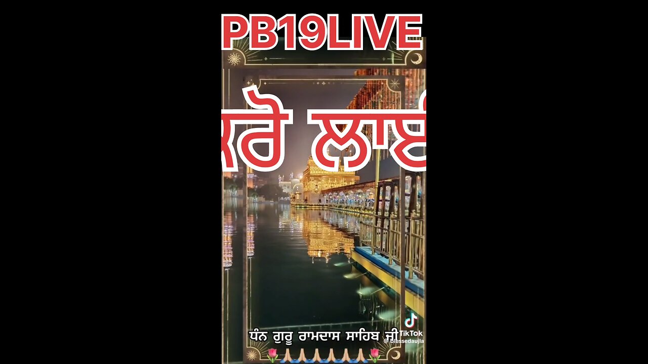 PB19LIVE