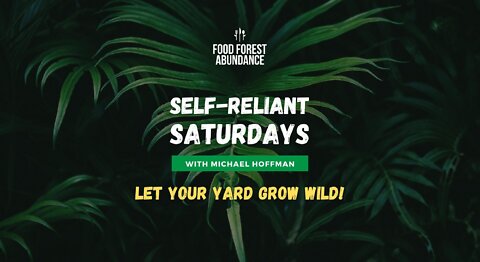 Self-Reliant Saturday with Michael Hoffman: Let your yard grow wild!