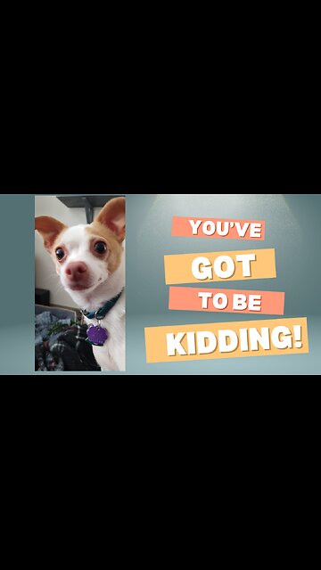 You've got to be KIDDING!