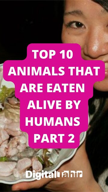 Top 10 Animals That Are Eaten Alive By Humans PART 2