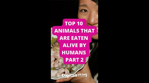 Top 10 Animals That Are Eaten Alive By Humans PART 2