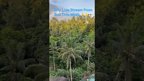 Live Stream From Bali Coming This Week.