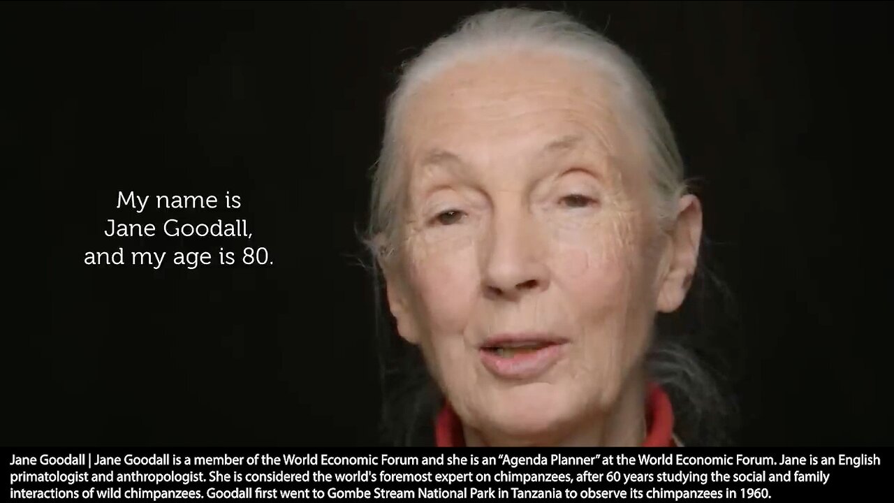 World Economic Forum | World Economic Forum Agenda Contributor Jane Goodall "If I Just Had This Magic Power, I Would Like to Without Causing Any Pain or Suffering Reduce the Number of People On the Planet." - Jane Goodall + Club of Rome 101