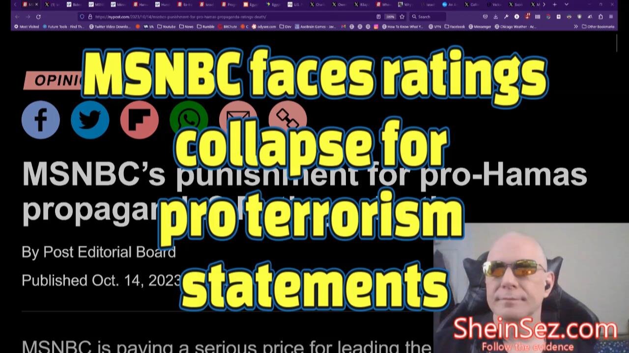 MSNBC faces ratings collapse for pro terrorism statements -SheinSez 322