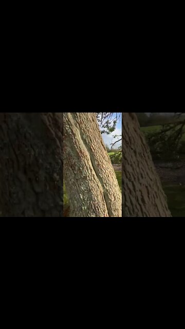 Post Hurricane Destruction