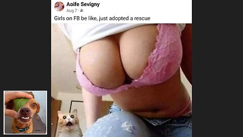 Memes That Will 99.833% Make You Laugh. (e58)