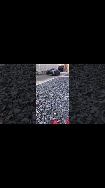 Forever love 🐍 #ford #mustangsociety #fordperformance #fordracing #shorts