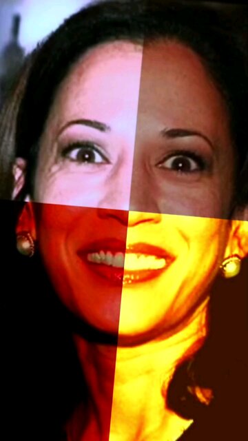 Were you aware Kamala Harris is a multiracial they/them of Martian descent that eats powdered sugar?