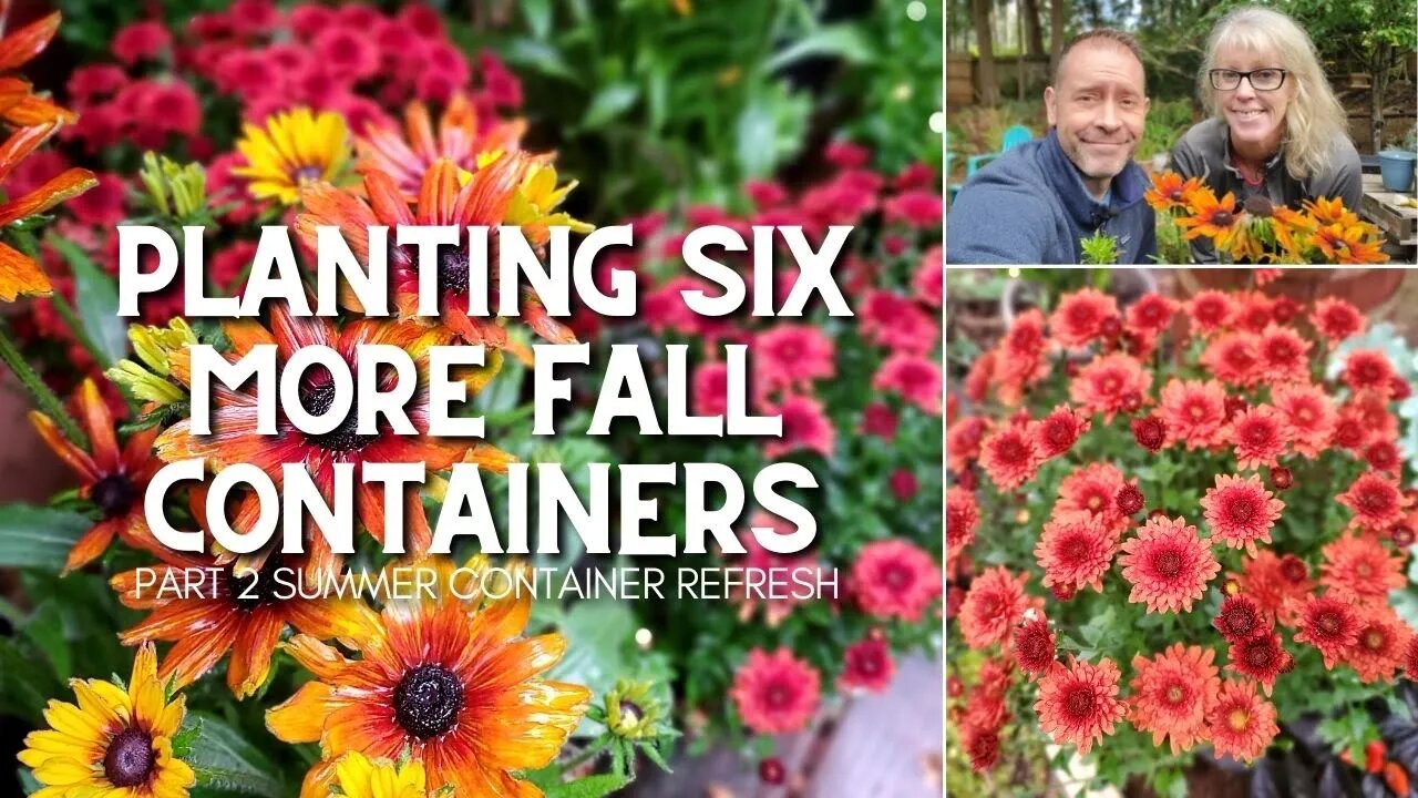 🍂 Planting Fall Flower Pots and Planting Tips (Part 2) 🍂