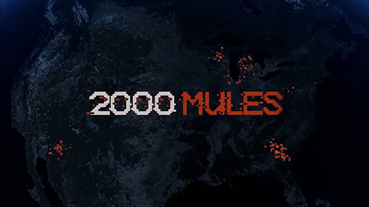 Is 2000 mules worth watching? | Political Film