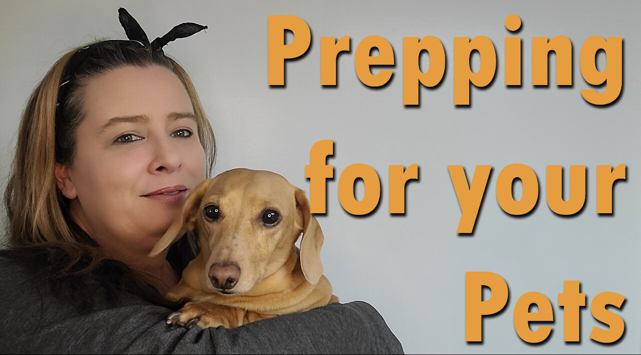 Prepping for your Pets ~ What we keep on hand for Sort & Long Term Emergencies