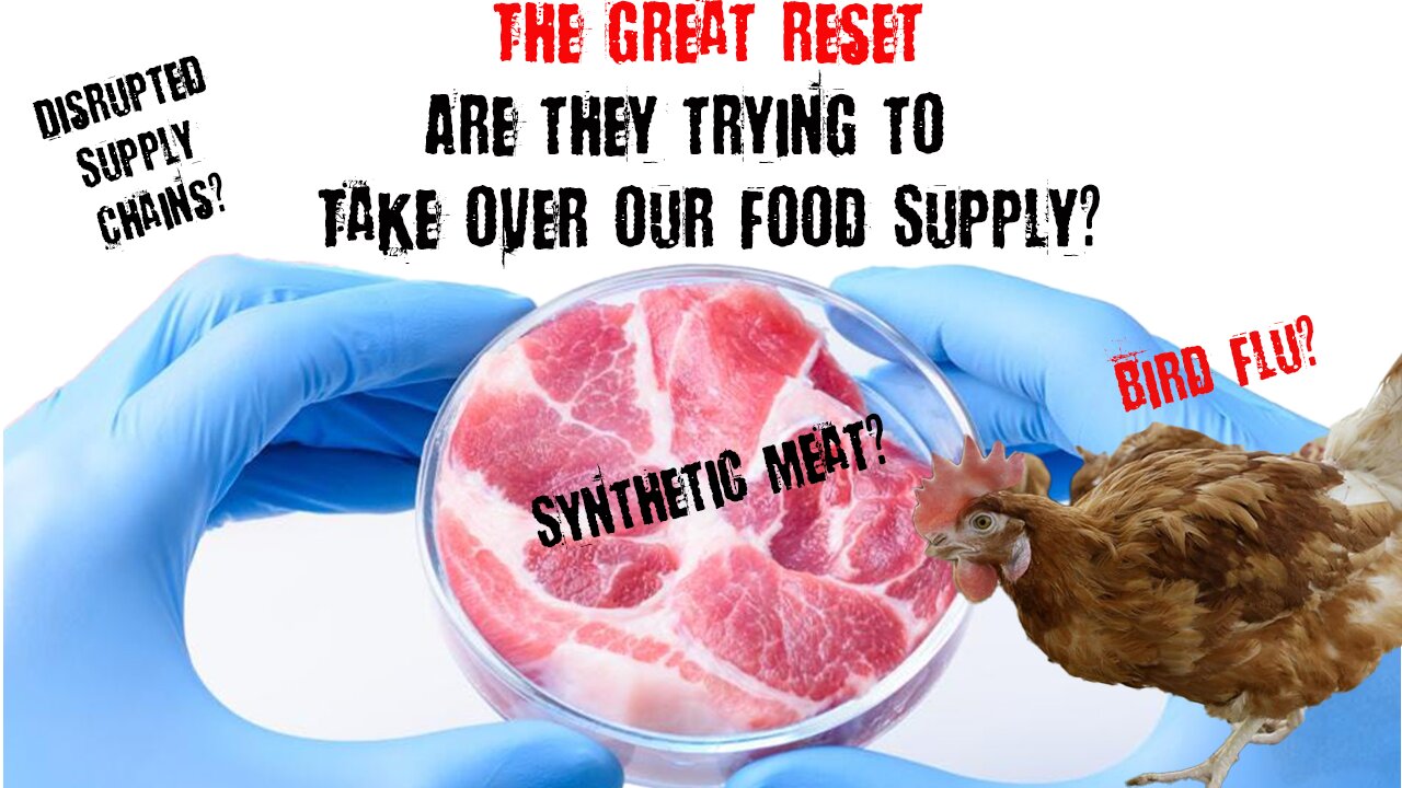 Bio Labs, NWO, Bird Flu, Synthetic meat & food shortages. What do they have in common?