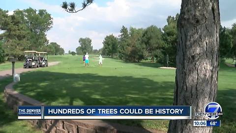 Neighbors fight to save trees ahead of trial involving Denver's City Park Golf Course