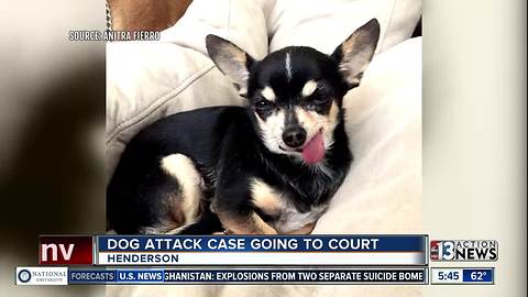 Dog attack case going to court