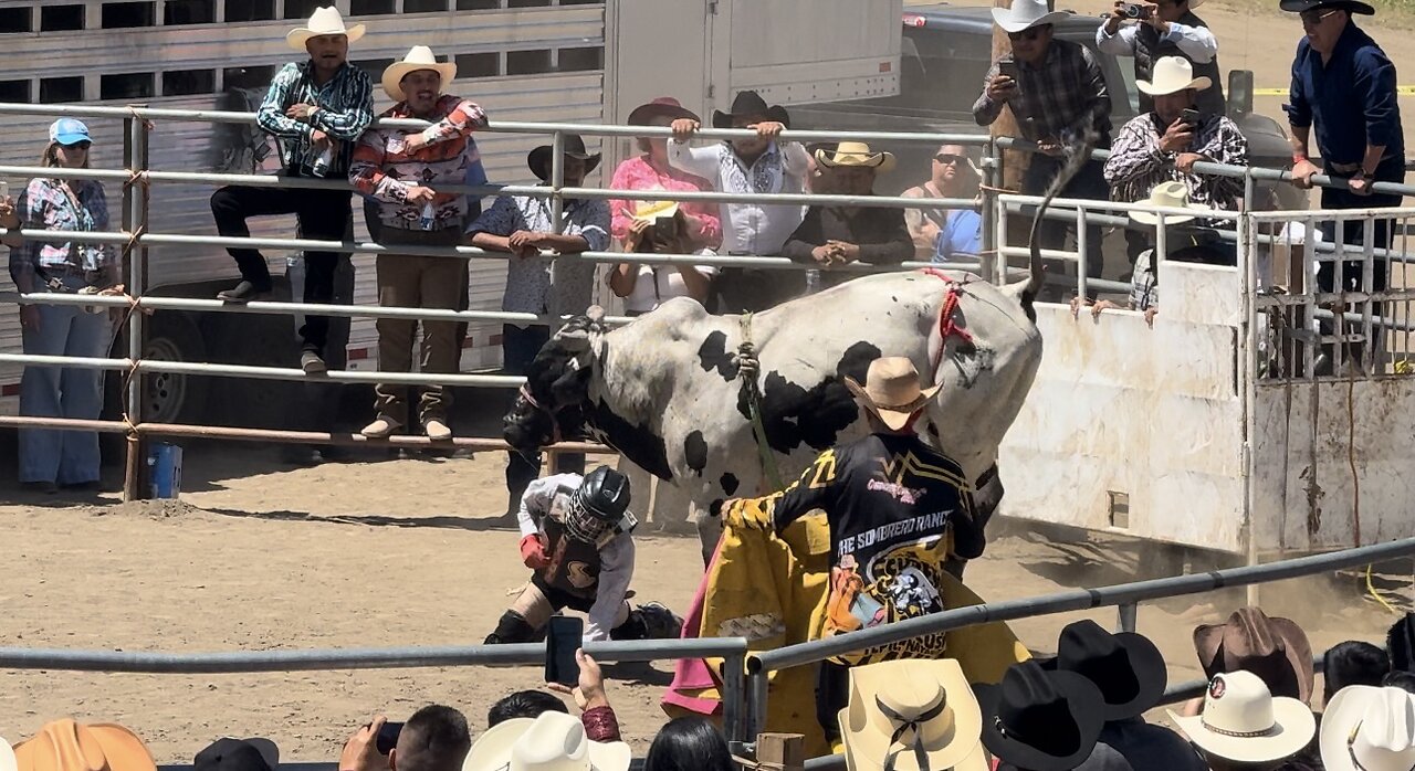 GOING TO A MEXICAN RODEO JARIPEO IN RAMONA CALIFORNIA!!! BULLS, HORSES, BANDAS)