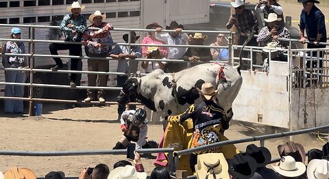GOING TO A MEXICAN RODEO JARIPEO IN RAMONA CALIFORNIA!!! BULLS, HORSES, BANDAS)