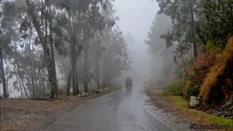 UJAR GAY O BAGh| Tanveer Hazara| Hindko Dukhi Mahiye