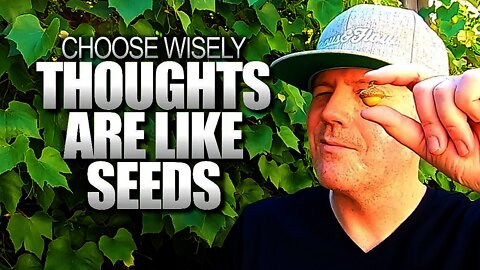 3 Ways Seeds Help Me To Be A More Conscious Creator