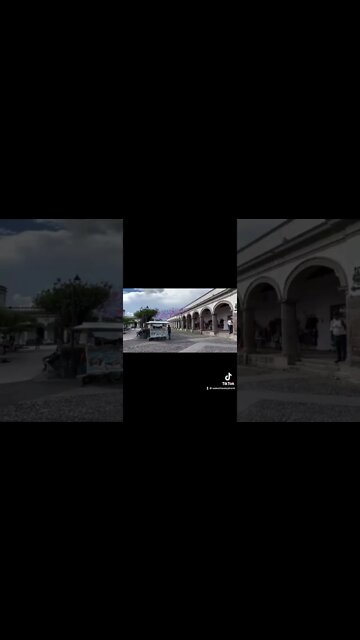 Comala el centro #shorts