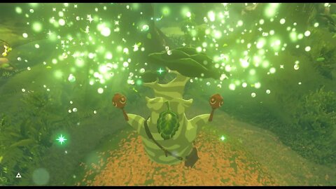 Breath of the Wild Master Mode 153