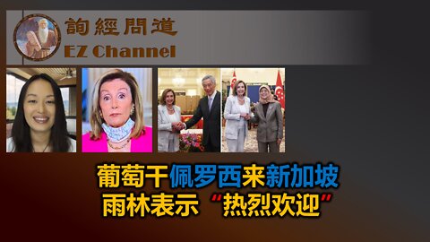 葡萄干佩罗西来新加坡，雨林表示“热烈欢迎”