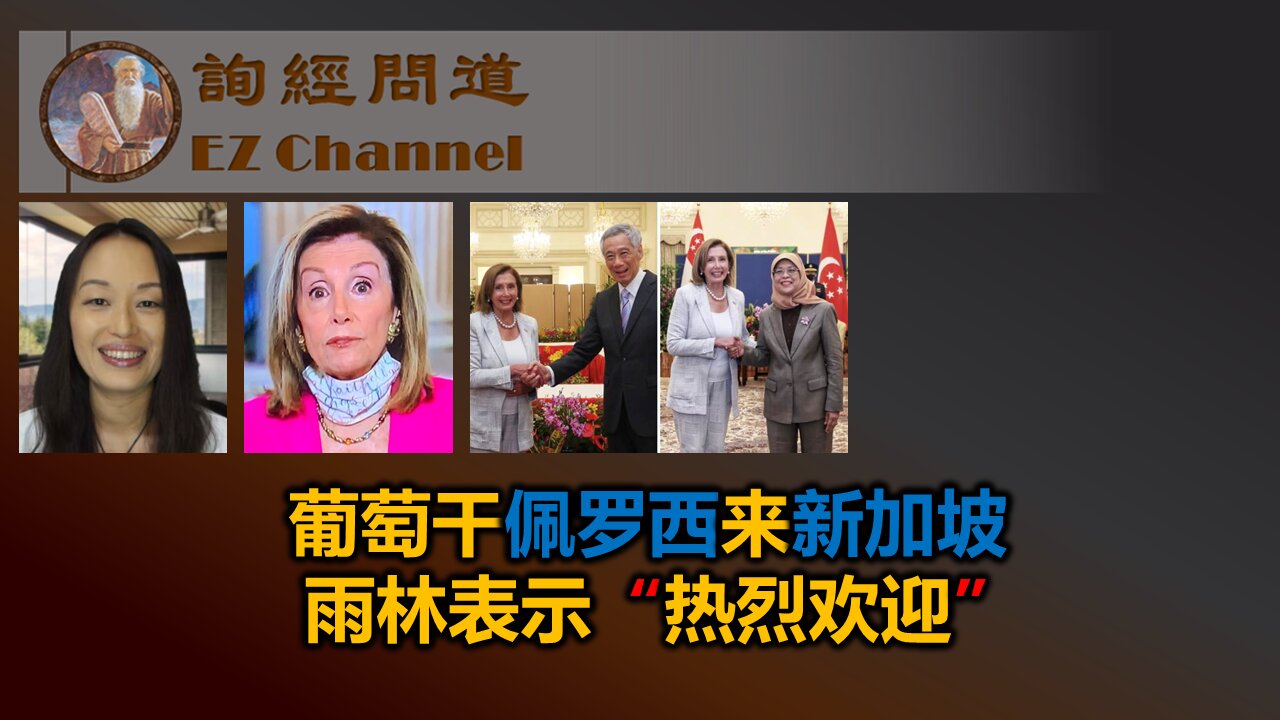 葡萄干佩罗西来新加坡,雨林表示“热烈欢迎”
