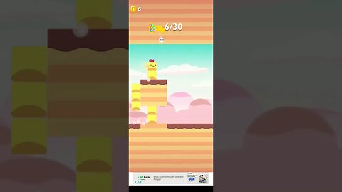 STACKY bird 😂😂🤣