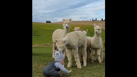 Beautiful and cute ilma playing kid