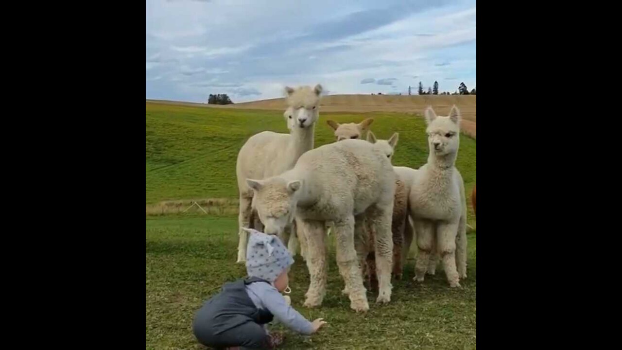 Beautiful and cute ilma playing kid