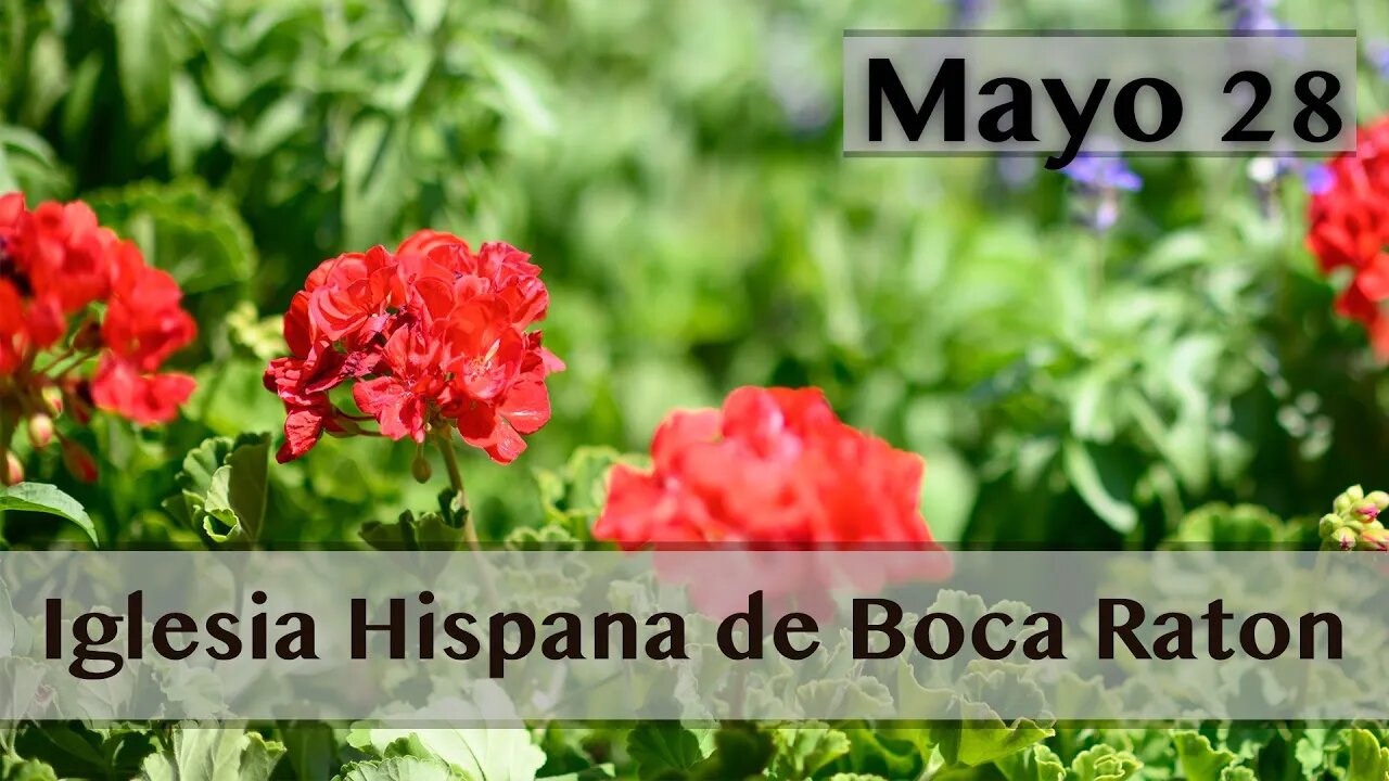 Servicio De Iglesia Hispana de Boca Raton 05/28/2023