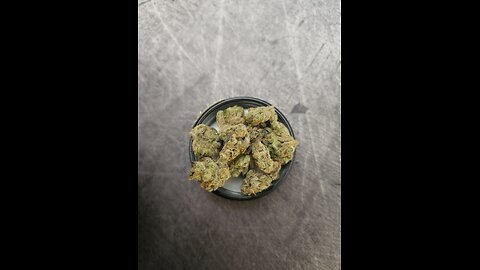 DECIBEL OG REVIEW