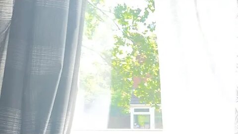 Afternoon living room view enjoy