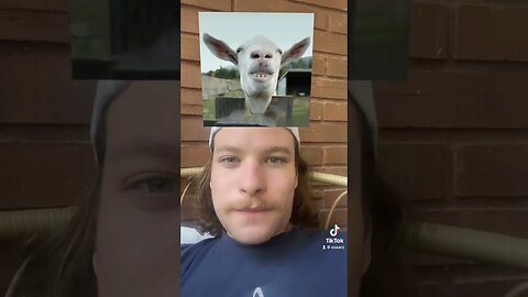 I look like what #growyourchannel #shorts #fypシ #fypシ゚viral #fyp #tiktok #tiktokvideo #tiktokviral
