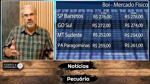 Boi gordo teria encontrado estabilidade nesta reta final de 2022?