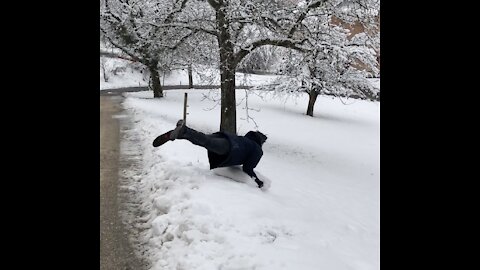 Sledding on my pillow. Would Mike Lindell approve?