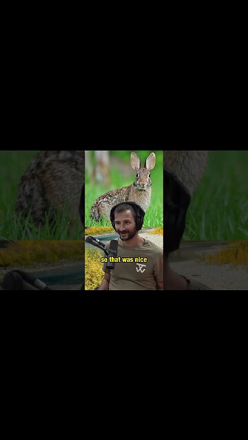 Surviving in the Wild: Building Shelter and Hunting for Food with Jordan Jonas - Joe Rogan