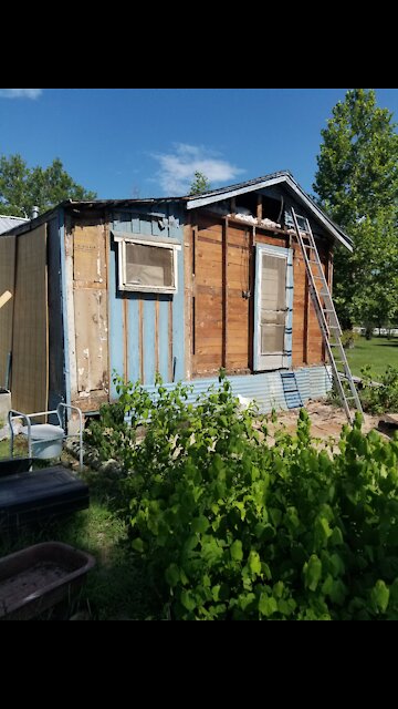 EP 6 - THE HONEY MONEY PROJECT